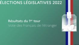 Législatives 2022 - Résultats du 1er tour pour les Français de (...)
